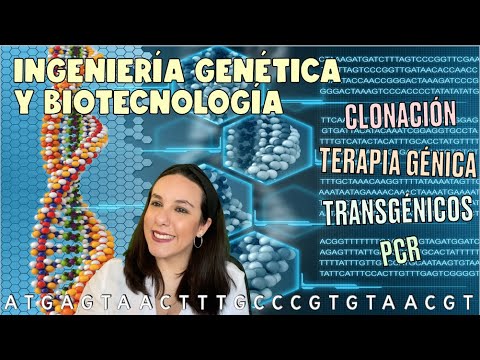 Ingeniería genética en diferentes campos