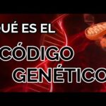 Código genético vs. ingeniería genética