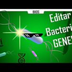 Bacterias en la ingeniería genética