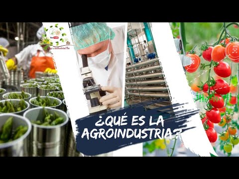 Cursos Ingeniería Agroindustrial a distancia: Menorca